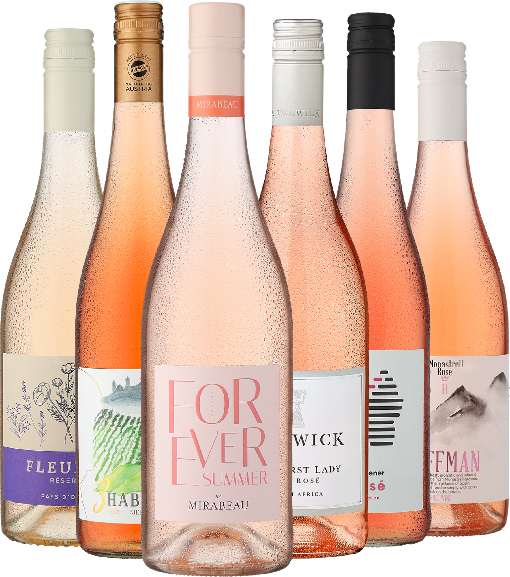 6er-Probierpaket »Rosé Selektion«