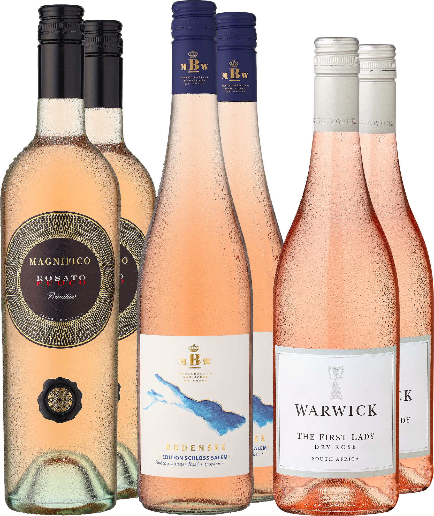 6er-Probierpaket »Die Welt in Rosé«