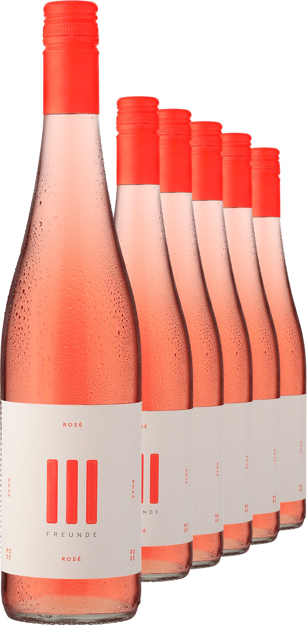 2024 III FREUNDE Rosé im 6er-Vorratspaket