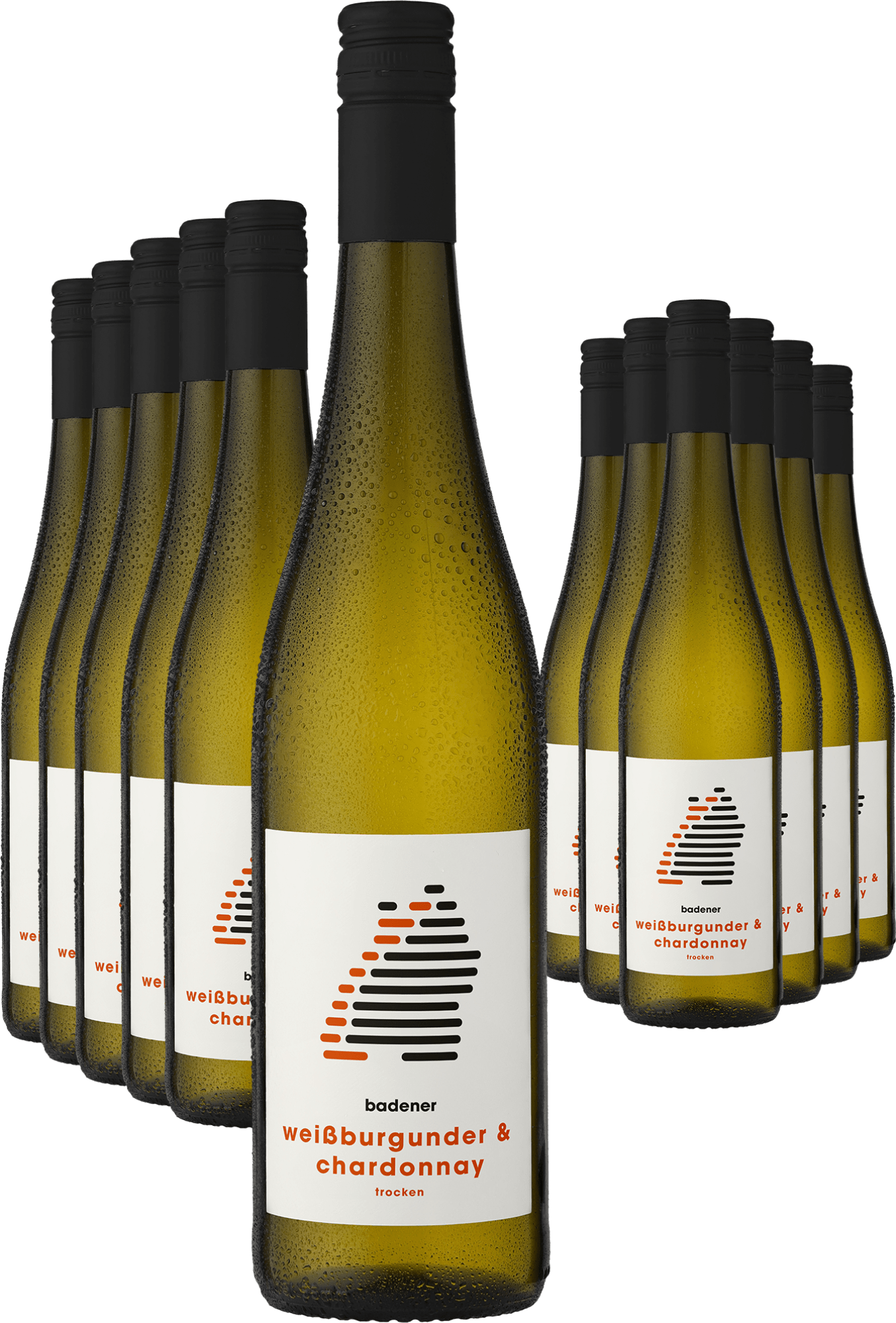 6+6-PAKET badener Weißburgunder & Chardonnay 2024