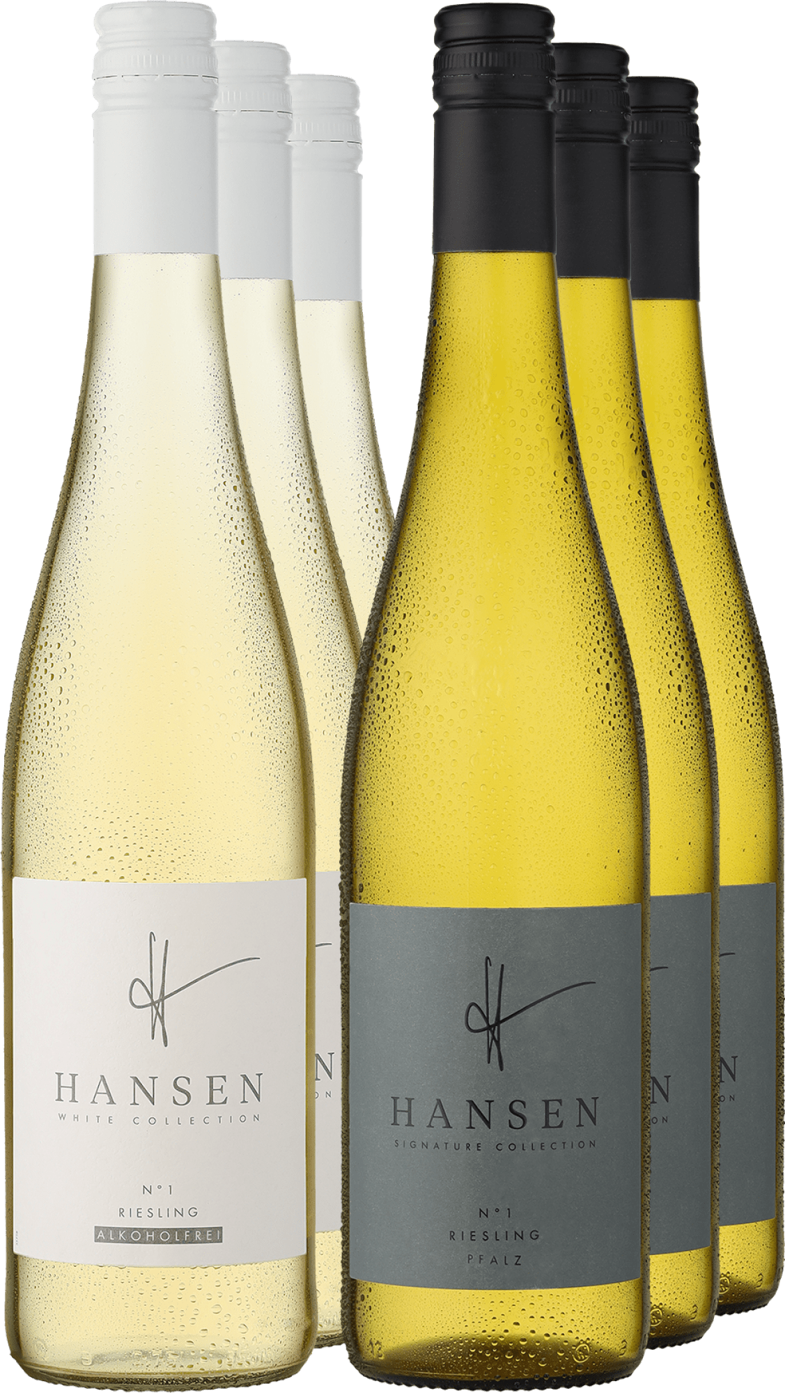 6er-Probierpaket »HANSEN Riesling-Duo«