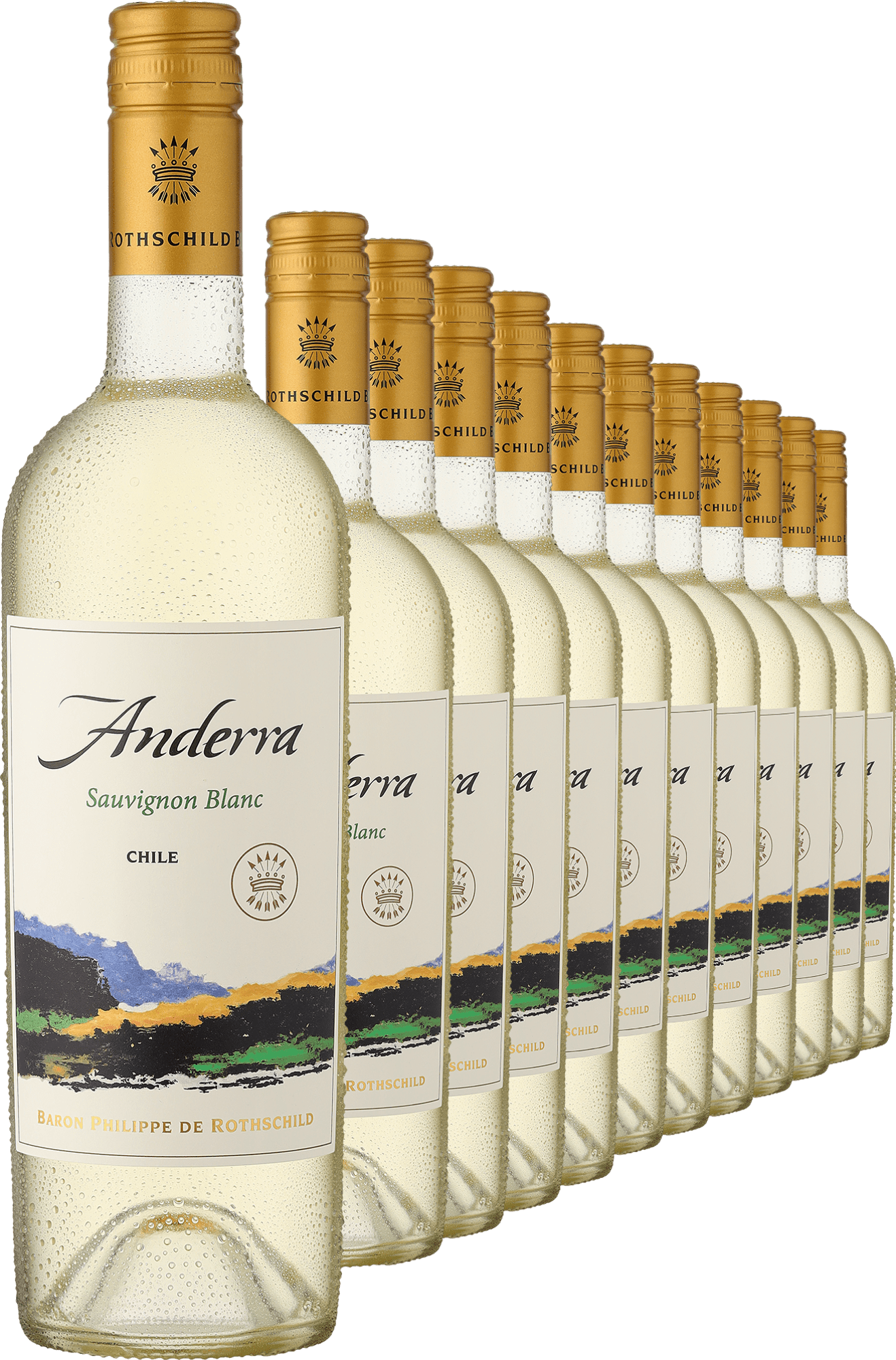 2022 Rothschild Anderra Sauvignon Blanc im 12er-Vorratspaket