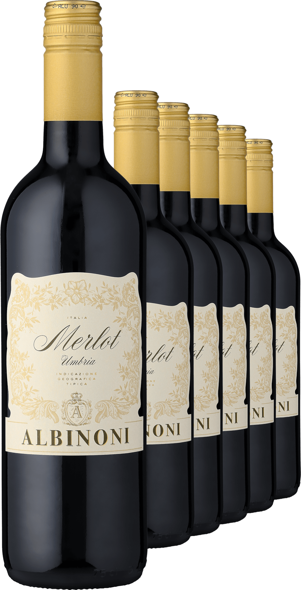 2024 Albinoni Merlot im 6er-Vorratspaket