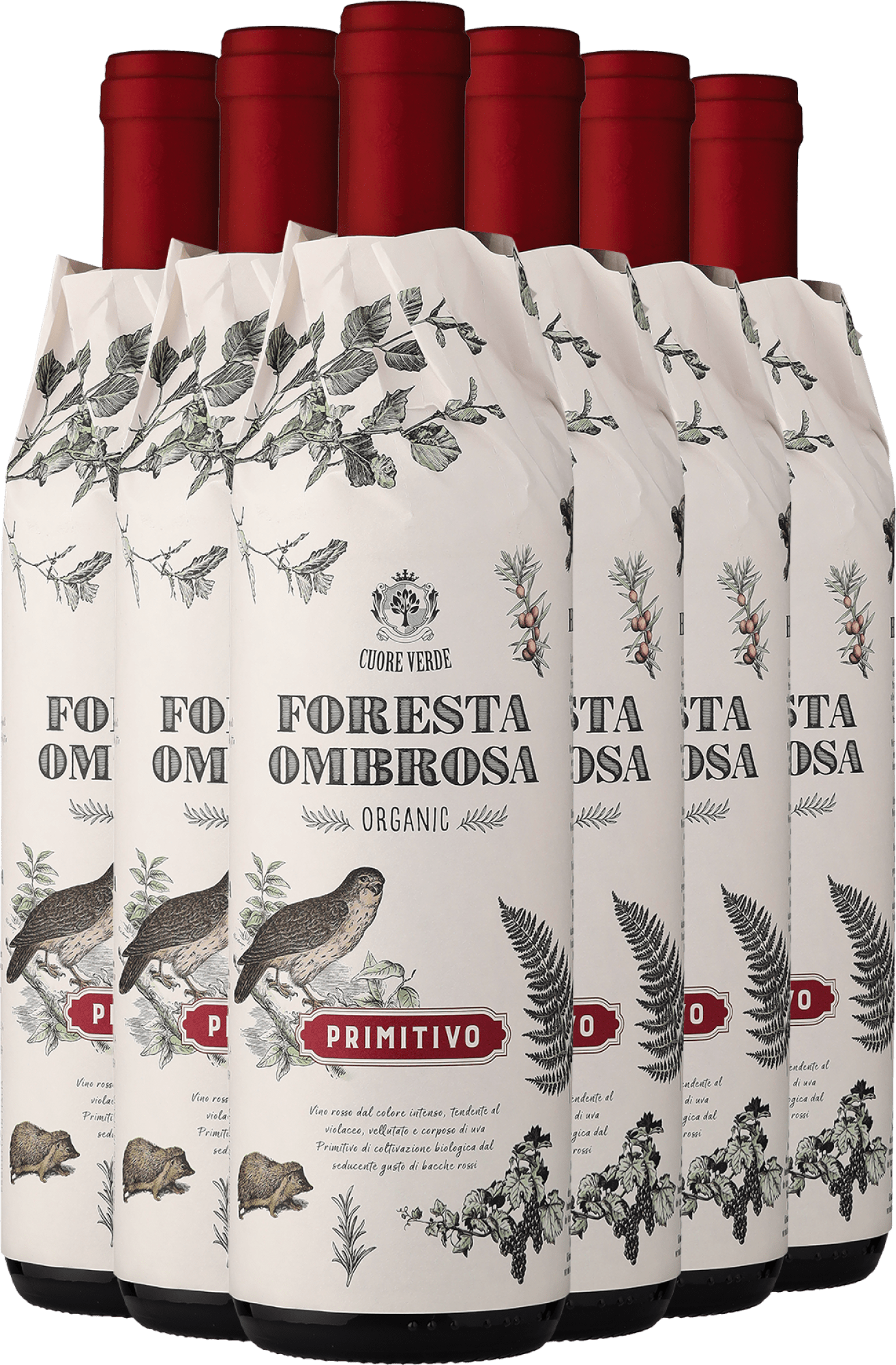 2024 Cuore Verde »Foresta Ombrosa« Primitivo – Bio im 6er-Vorratspaket