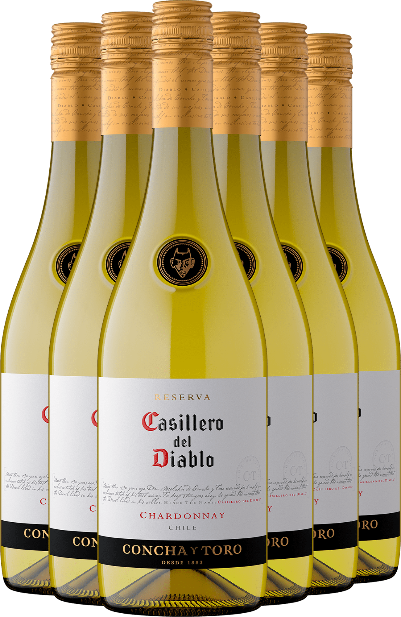 2025 Casillero del Diablo Reserva Chardonnay im 6er-Vorratspaket