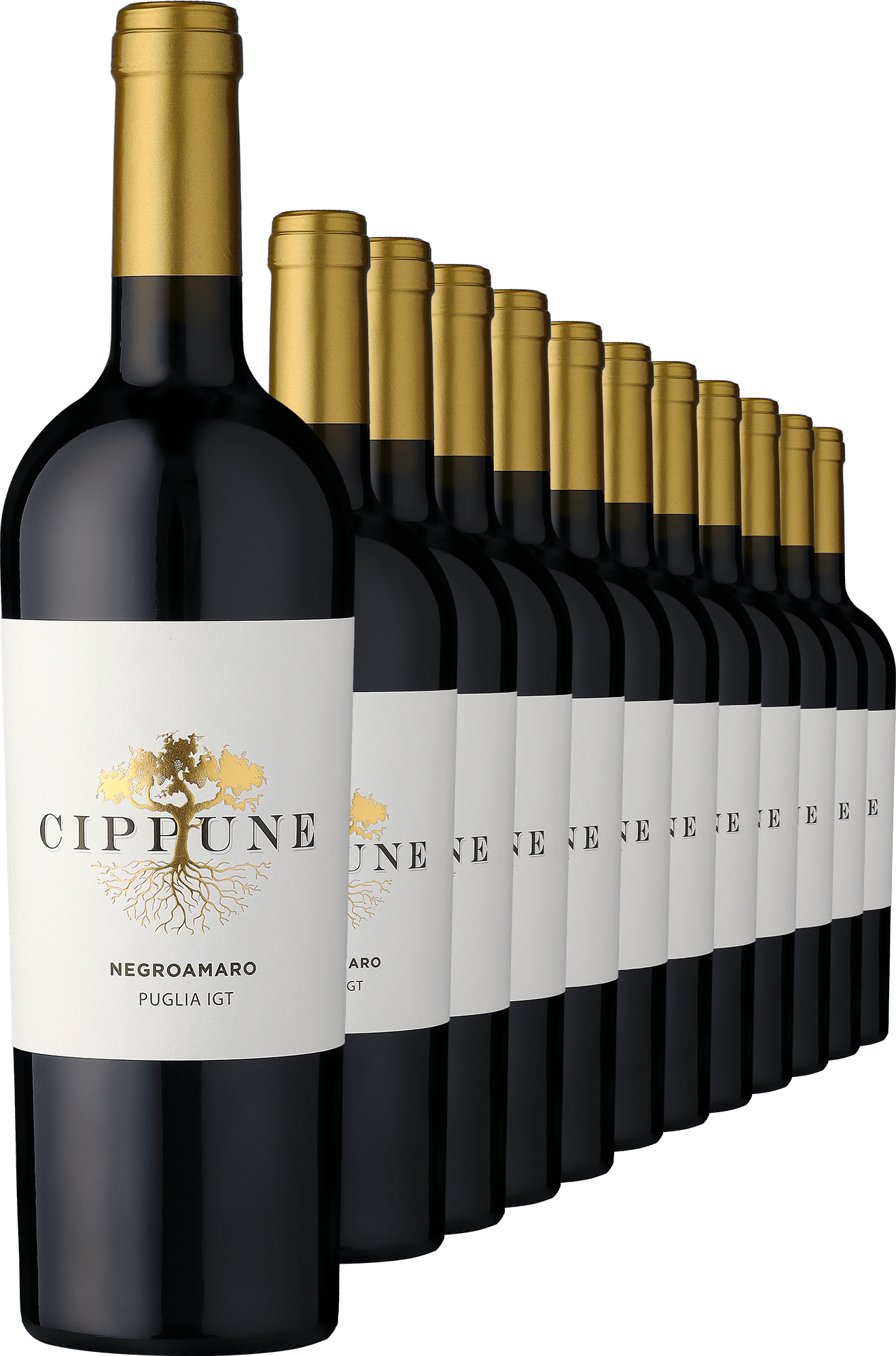 2023 Cippune Negroamaro im 12er-Vorratspaket