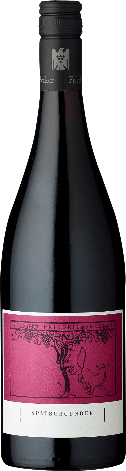 Friedrich Becker Spätburgunder