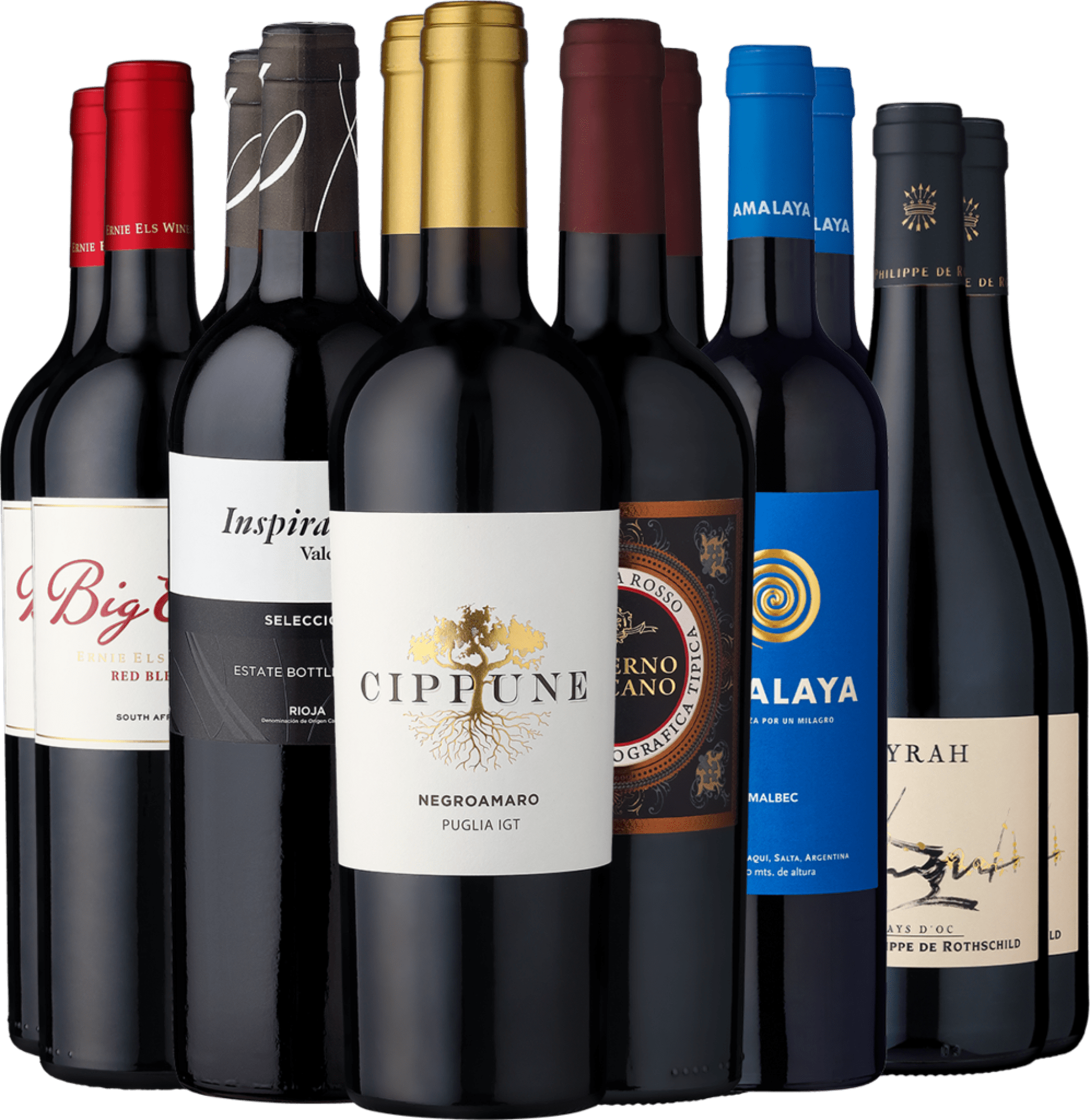 12er-Probierpaket »Topscorer«