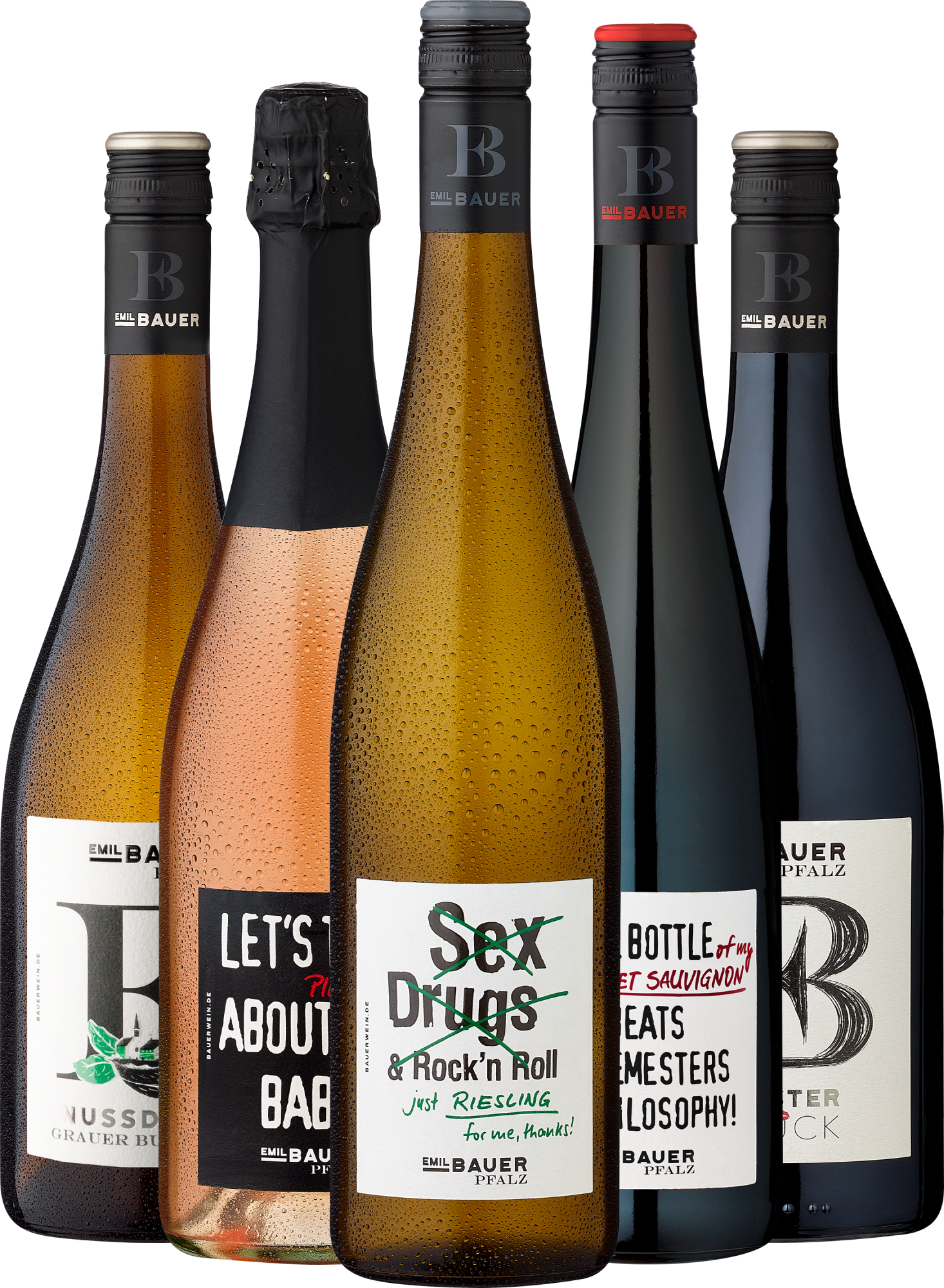 5er-Probierpaket »Revolution der Weinwelt«