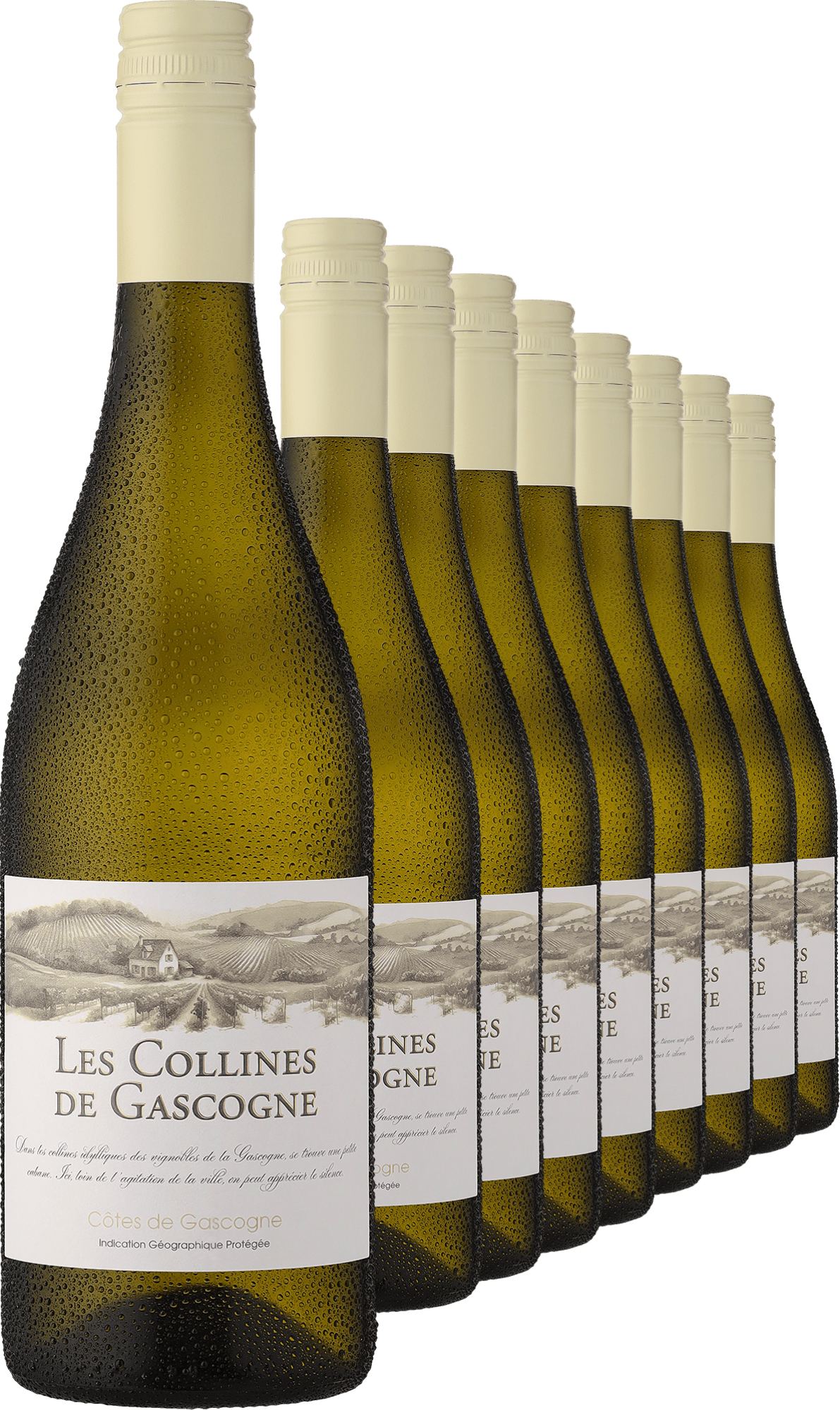 2024 »Les Collines de Gascogne« Blanc im 9er-Vorratspaket