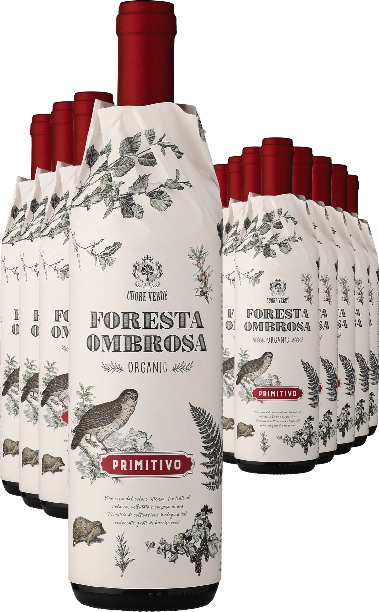 8+4-PAKET Cuore Verde »Foresta Ombrosa« Primitivo – Bio 2024