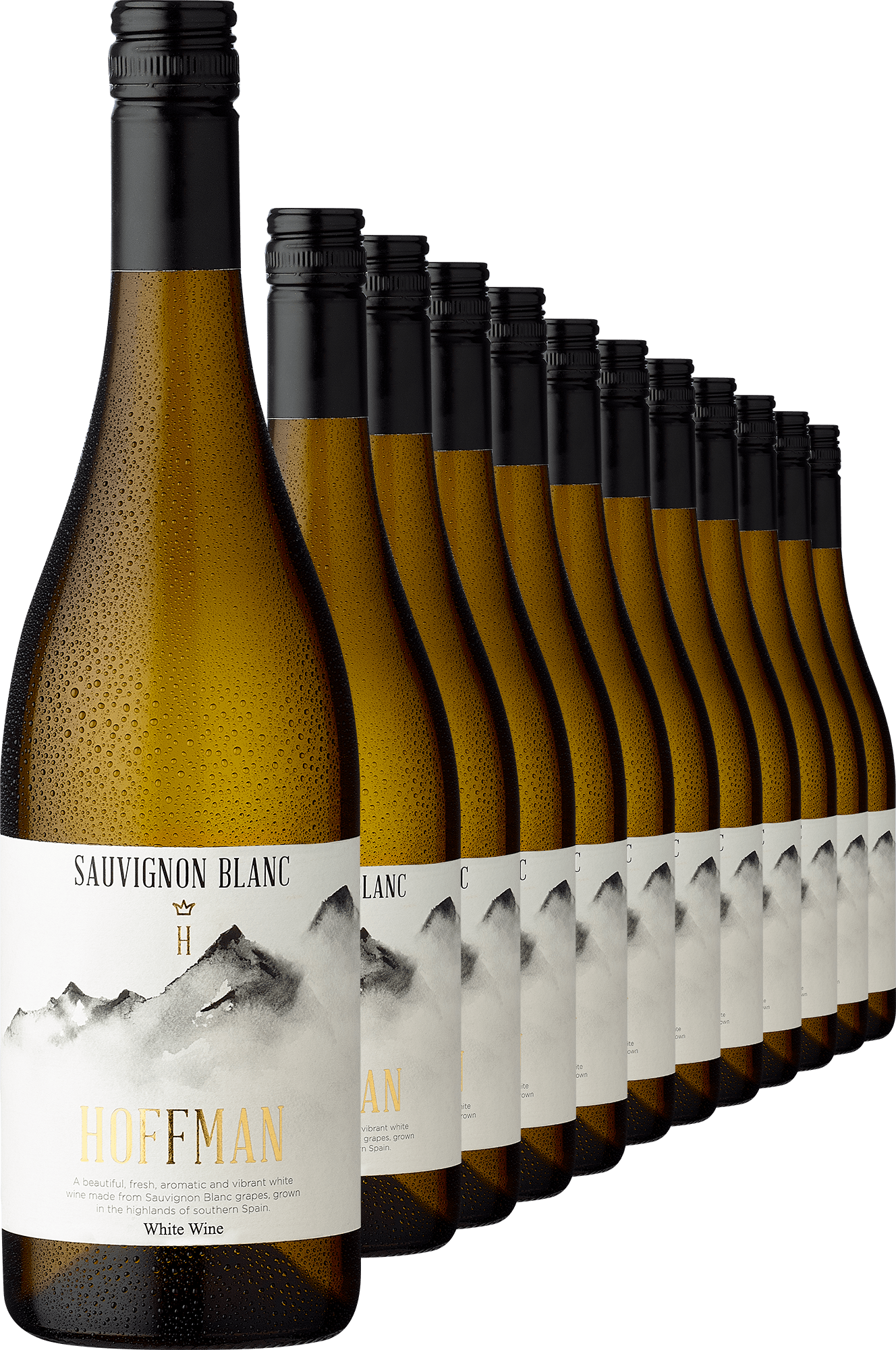 2024 Alceño Hoffman Sauvignon Blanc im 12er-Vorratspaket