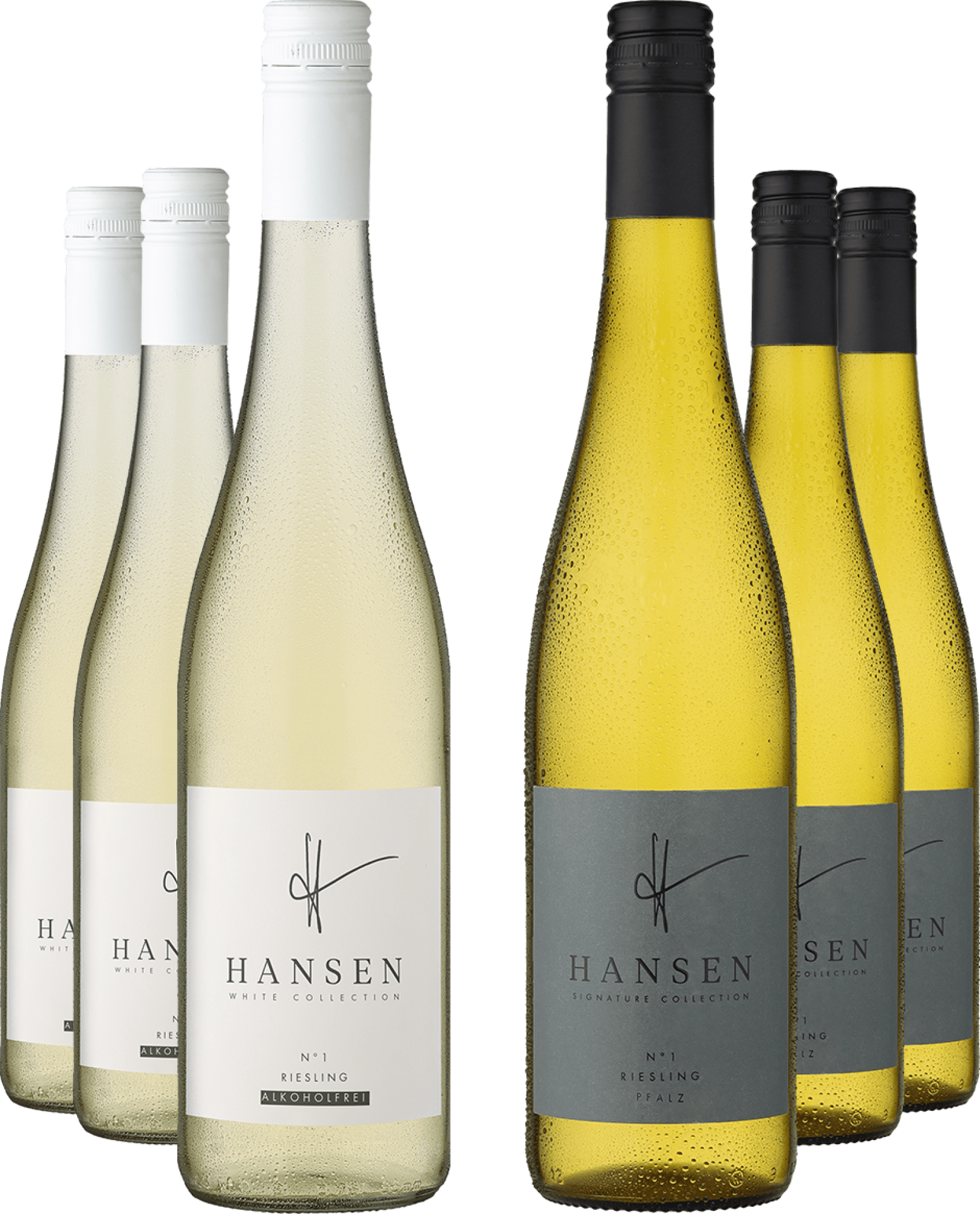 6er-Probierpaket »HANSEN Riesling-Duo«
