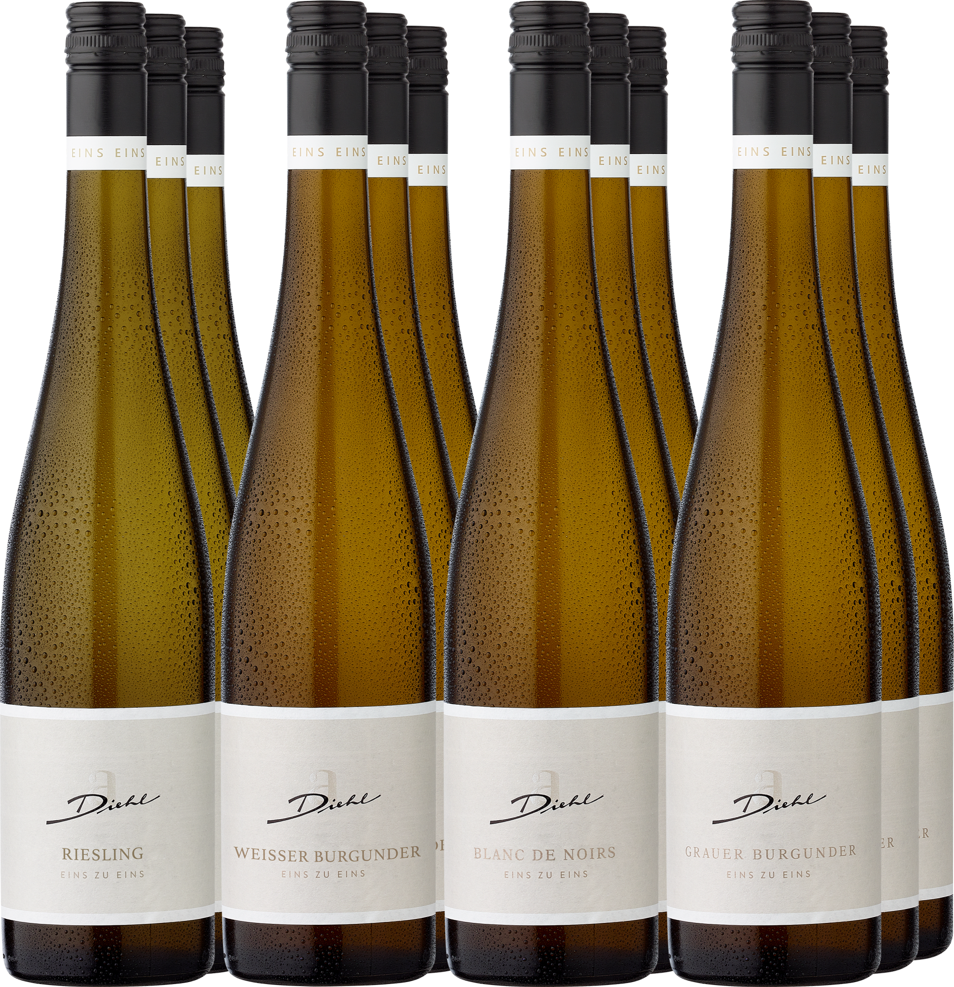 12er-Probierpaket »Weingut A. Diehl«