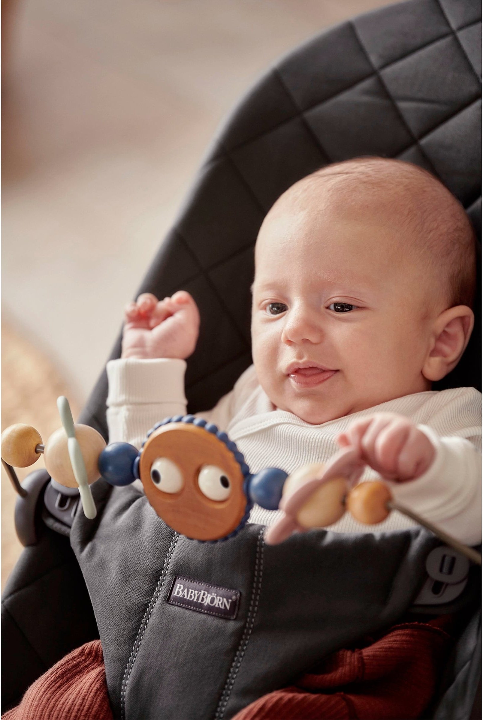 Babybjörn Spielbügel für Babywippe