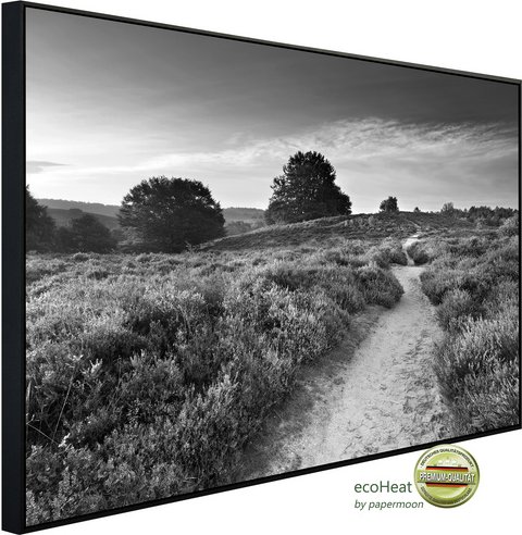 Thumbnail - papermoon Infrarotheizung »EcoHeat - Feldweg Schwarz + Weiss«, Matt-Effekt - bunt