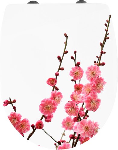 CORNAT WC-Sitz »KIRSCHBLÜTE«, Thermoplast, oval, mit Softclose-Funktion - bunt