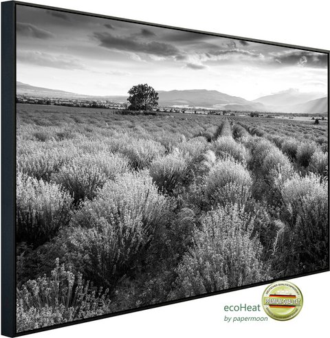 Thumbnail - papermoon Infrarotheizung »EcoHeat - Landschaft Schwarz + Weiss«, Matt-Effekt - bunt