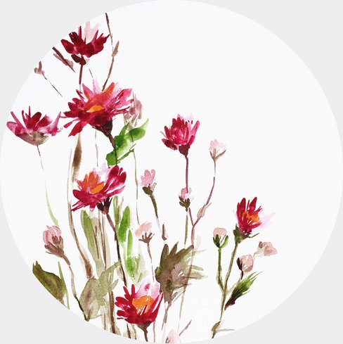 K&L Wall Art Vliestapete »Runde Vliestapete«, Florale Wildblume, mehrfarbig, matt - bunt