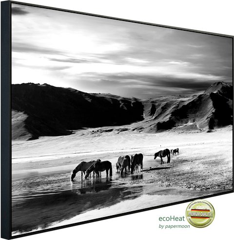 Thumbnail - papermoon Infrarotheizung »EcoHeat - Landschaft schwarz + weiss«, Matt-Effekt - bunt