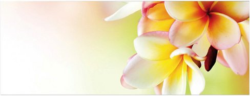 mySPOTTI Badrückwand »Hawaii«, BxH:120 cm x 45 cm, orange