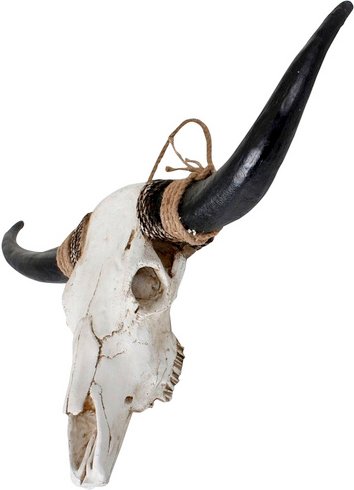 Geweih, Bison, Polyresin, braun/weiß - weiss