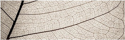 mySPOTTI Badrückwand »Struktur«, BxH:140 cm x 45 cm, weiß