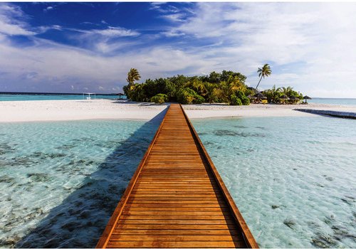 WIZARD+GENIUS Fototapete, Breite: 366 cm, inkl. Kleister - bunt