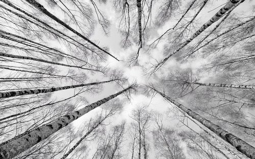 KOMAR Vliestapete »Weiss-Blau«, Breite 450 cm, seidenmatt - bunt