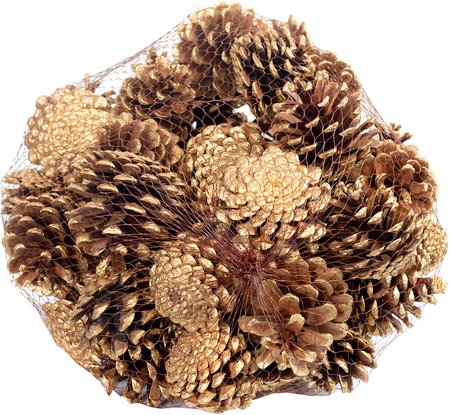 Flowerbox Zapfen - goldfarben | tuerkis