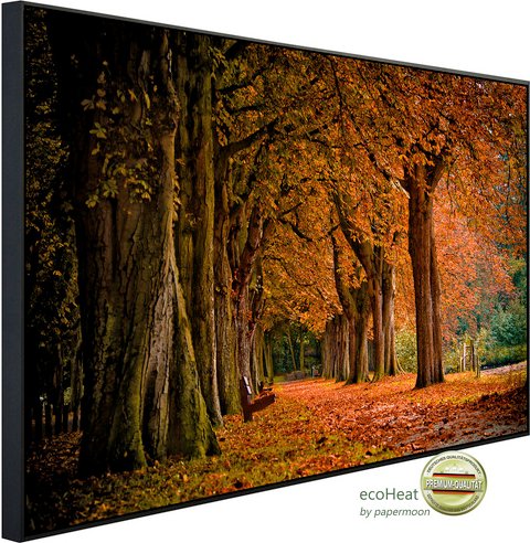 Thumbnail - papermoon Infrarotheizung »EcoHeat - Parkweg«, Matt-Effekt - bunt