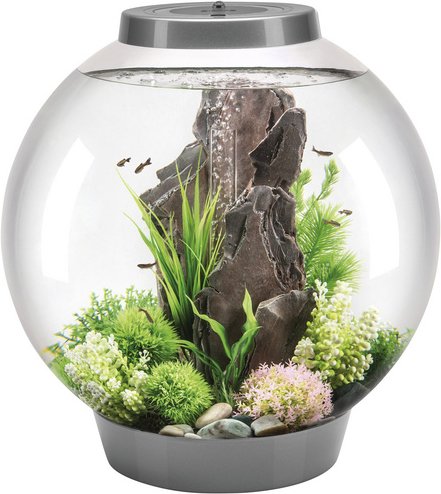 OASE Tabletop Aquarien »biOrb CLASSIC«, mit LED Beleuchtung, 60 l, silberfarben