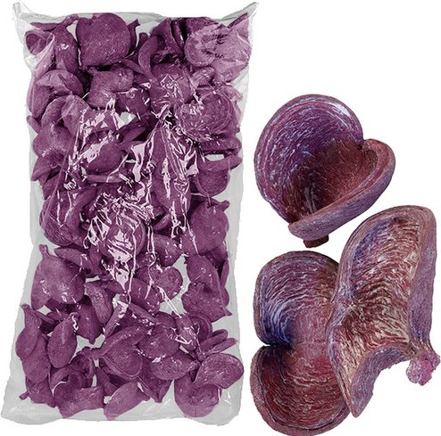 Flowerbox Nussschale - blau | lila