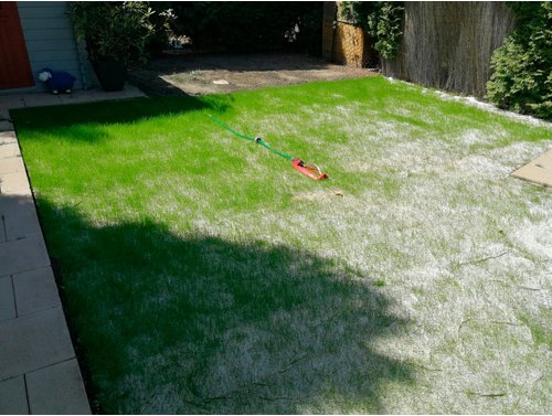 easygreen Schattenrasen »Easygreen Halbschattenrasen 24 m2«, 8