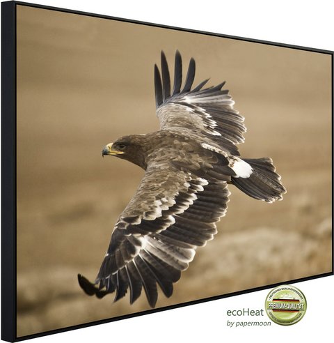 Thumbnail - papermoon Infrarotheizung »EcoHeat - Der Steppenadler«, Matt-Effekt - bunt