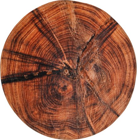 Sanilo Badteppich »Old Tree«, braun, Polyester