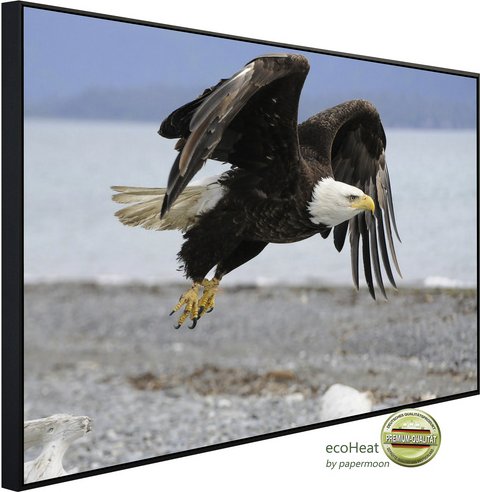 Thumbnail - papermoon Infrarotheizung »EcoHeat - Weisskopfseeadler«, Matt-Effekt - bunt
