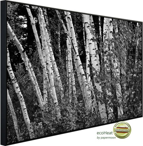 papermoon Infrarotheizung »EcoHeat - Birkenwald Schwarz + Weiss«, Matt-Effekt - bunt