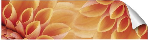 mySPOTTI Küchenrückwand-Panel »fixy«, orange/gelb