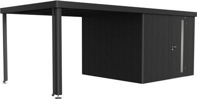 BIOHORT Seitendach »Neo«, BxL: 3000 x 2910 mm, Metall - grau