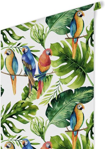K&L Wall Art Vliestapete »Kinder Vliestapete«, Papageien bunte Vögel, mehrfarbig, matt