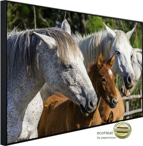 Thumbnail - papermoon Infrarotheizung »EcoHeat - Camargue«, Matt-Effekt - bunt