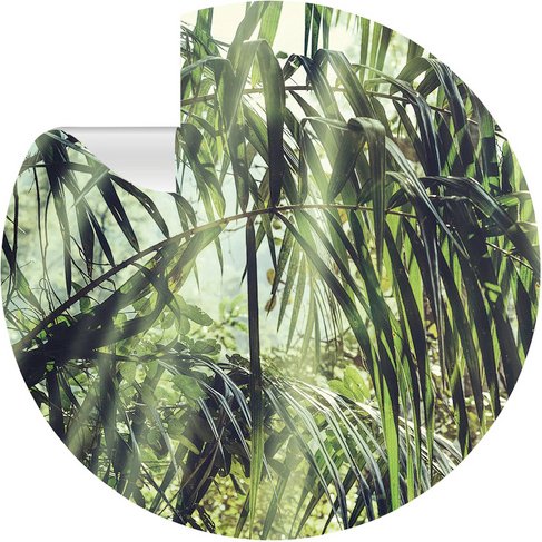 mySPOTTI Vliestapete »Jones«, Blattmuster, grün/weiß, matt - gruen