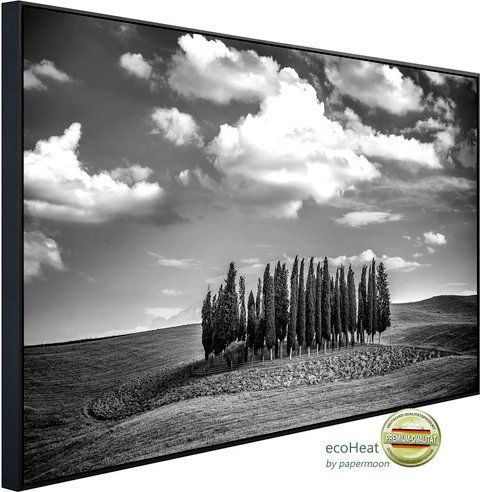 Thumbnail - papermoon Infrarotheizung »EcoHeat - Landschaft Schwarz + Weiss«, Matt-Effekt - bunt
