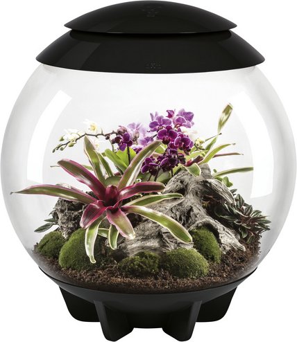 OASE Terrarium »AIR 60«, mit LED Beleuchtung, 60 l, schwarz