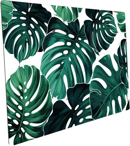 mySPOTTI Mini-Spritzschutz »Monstera«, Aluverbund, Blätter