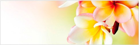 mySPOTTI Badrückwand »Hawaii«, BxH:140 cm x 45 cm, orange