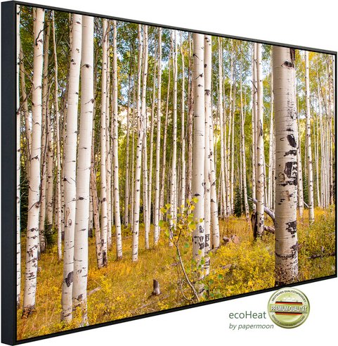 papermoon Infrarotheizung »EcoHeat - Birken in Colorado Rocky Mountain«, Matt-Effekt - bunt
