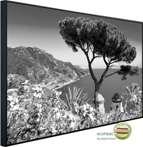 Thumbnail - papermoon Infrarotheizung »EcoHeat - Landschaft schwarz + weiss«, Matt-Effekt - bunt