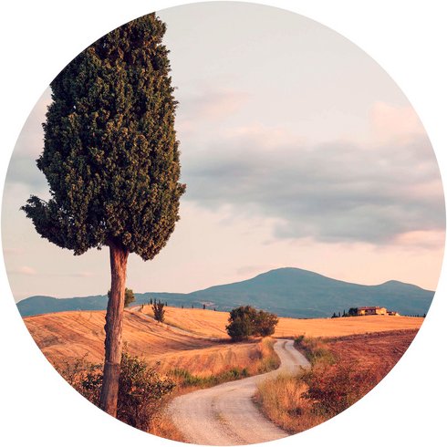 K&L Wall Art Vliestapete »Runde Vliestapete«, Colombo Zypressen Landschaft, mehrfarbig, matt - bunt